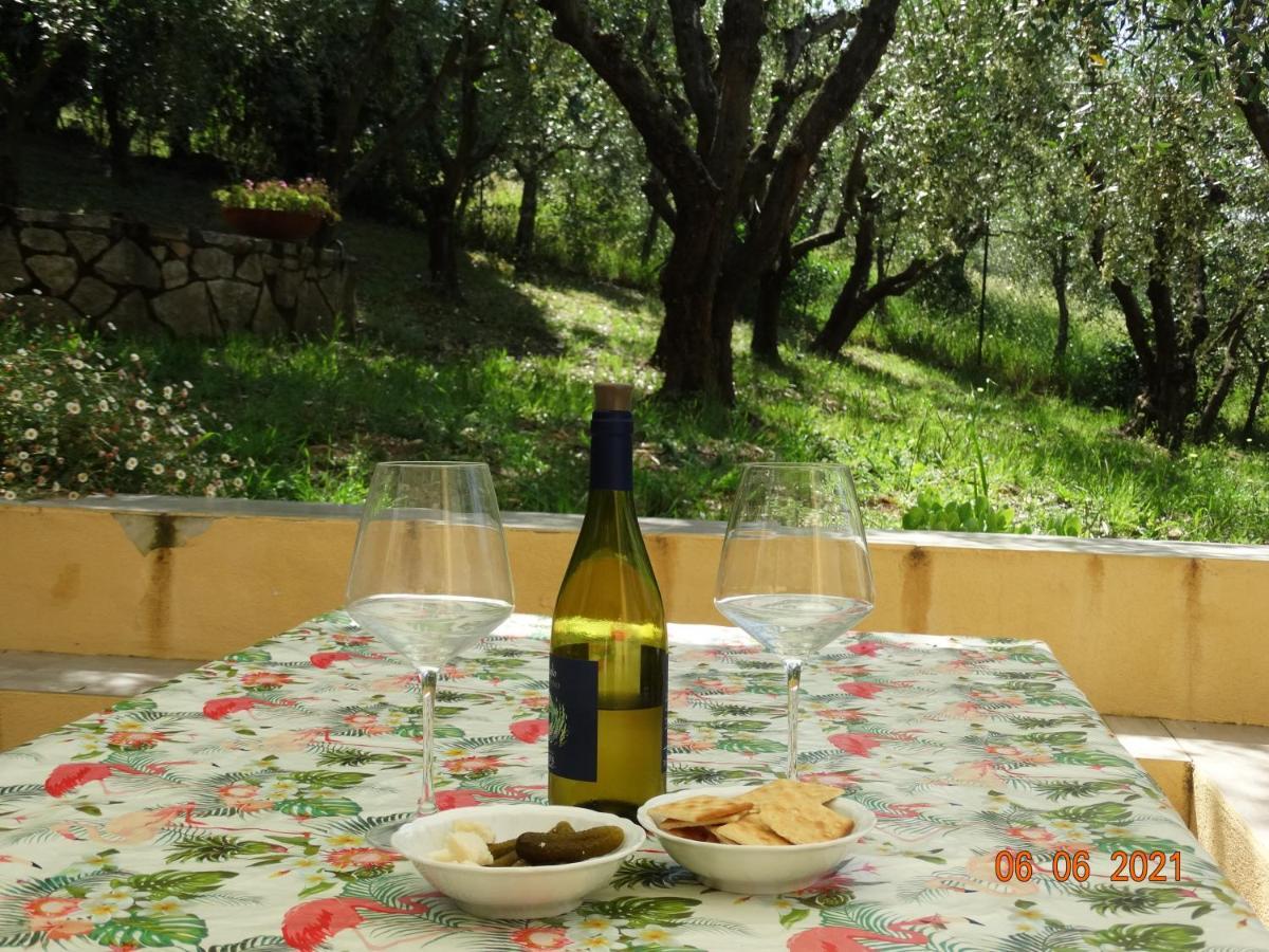 Poggio House, Tranquillita E Comfort Nella Natura San Casciano in Val di Pesa Zewnętrze zdjęcie
