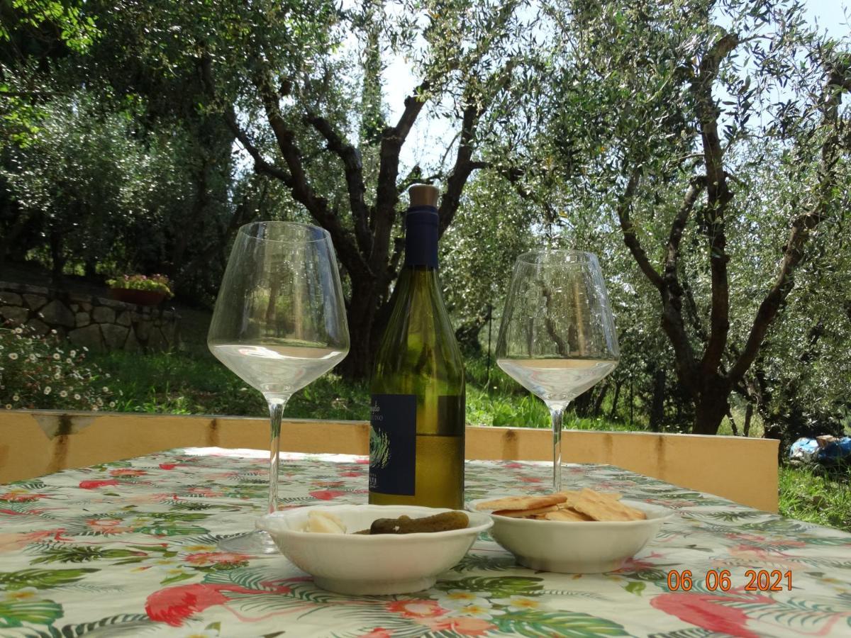 Poggio House, Tranquillita E Comfort Nella Natura San Casciano in Val di Pesa Zewnętrze zdjęcie