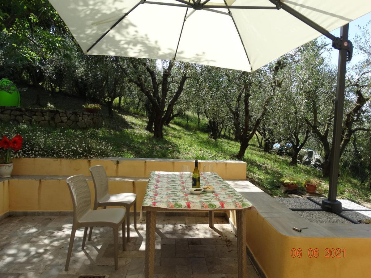 Poggio House, Tranquillita E Comfort Nella Natura San Casciano in Val di Pesa Zewnętrze zdjęcie