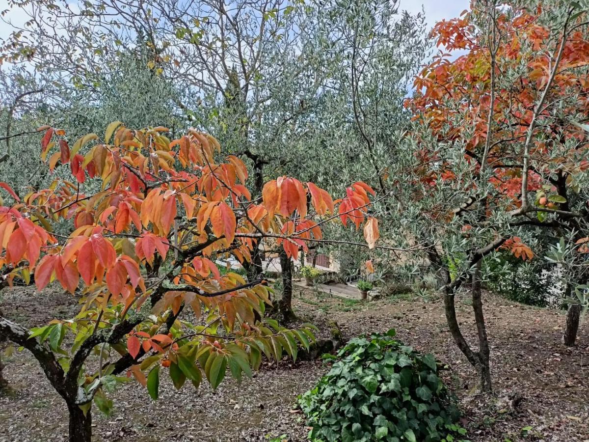 Poggio House, Tranquillita E Comfort Nella Natura San Casciano in Val di Pesa Zewnętrze zdjęcie