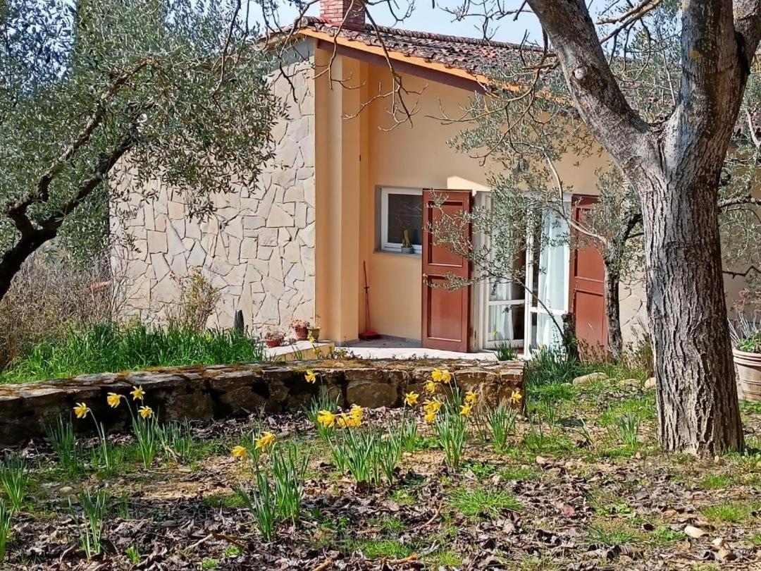 Poggio House, Tranquillita E Comfort Nella Natura San Casciano in Val di Pesa Zewnętrze zdjęcie