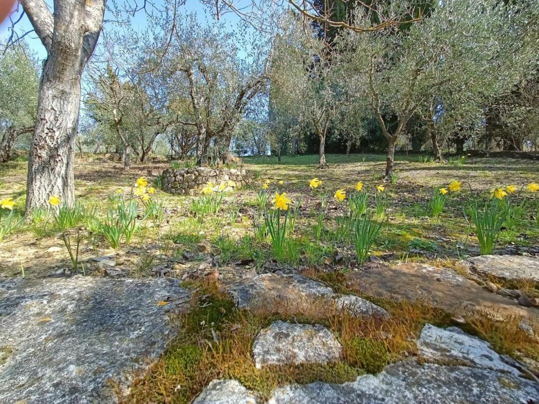 Poggio House, Tranquillita E Comfort Nella Natura San Casciano in Val di Pesa Zewnętrze zdjęcie