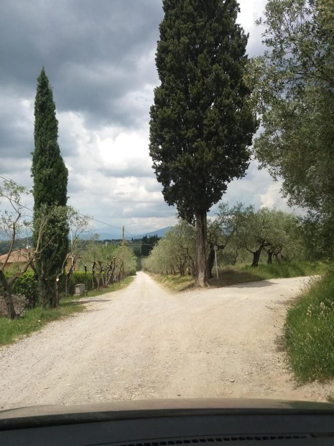 Poggio House, Tranquillita E Comfort Nella Natura San Casciano in Val di Pesa Zewnętrze zdjęcie
